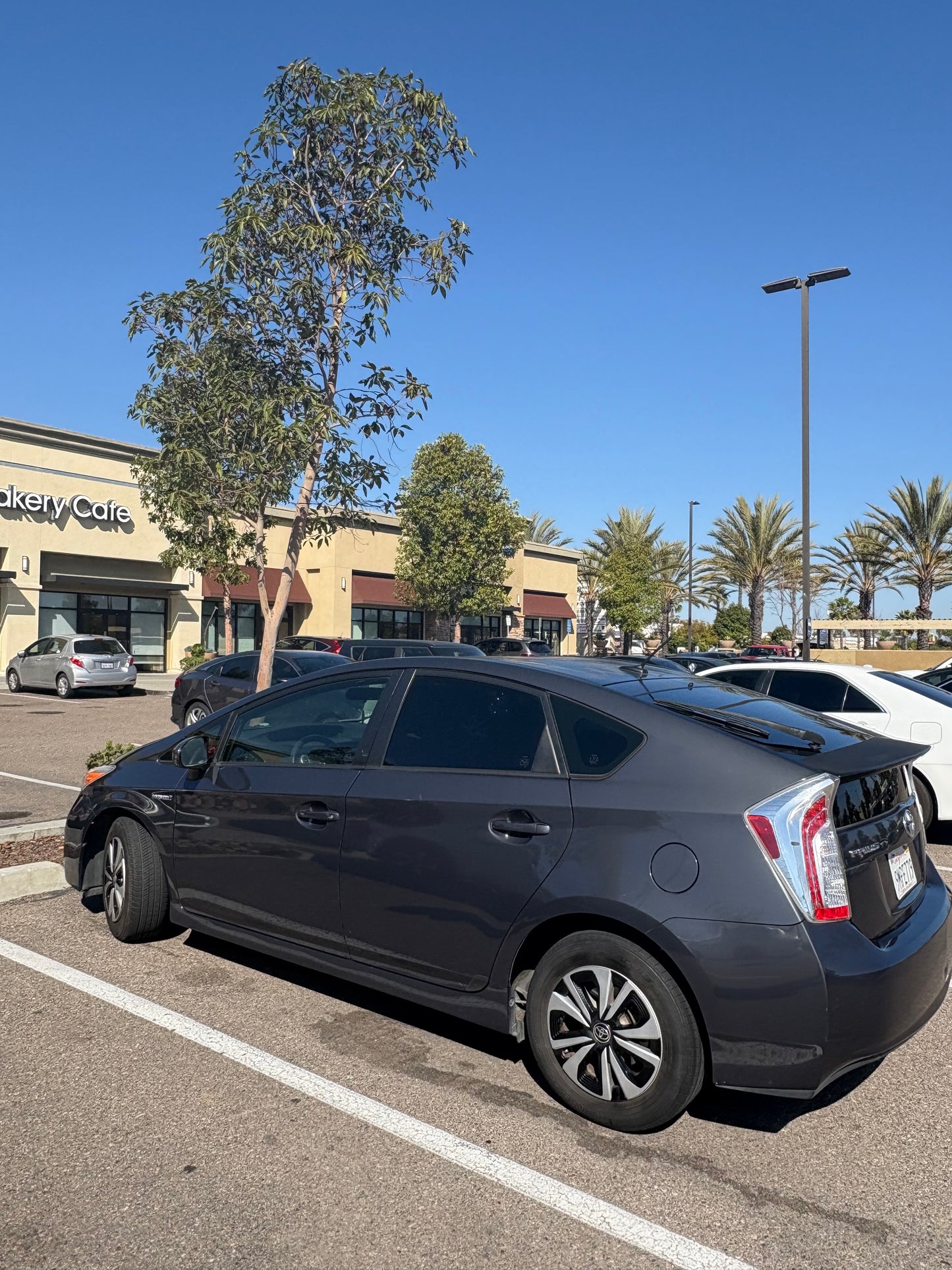 Toyota Prius 2013 Rental